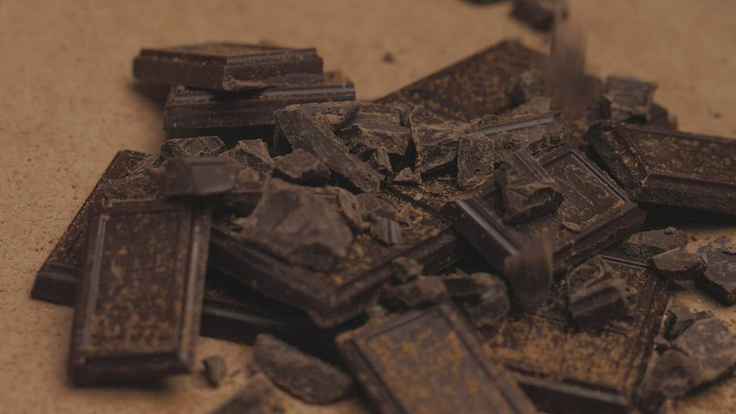 Taste, Don’t Just Eat: A Beginner’s Guide to Craft Chocolate